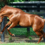 A Timeline of Major Moments in Racing History