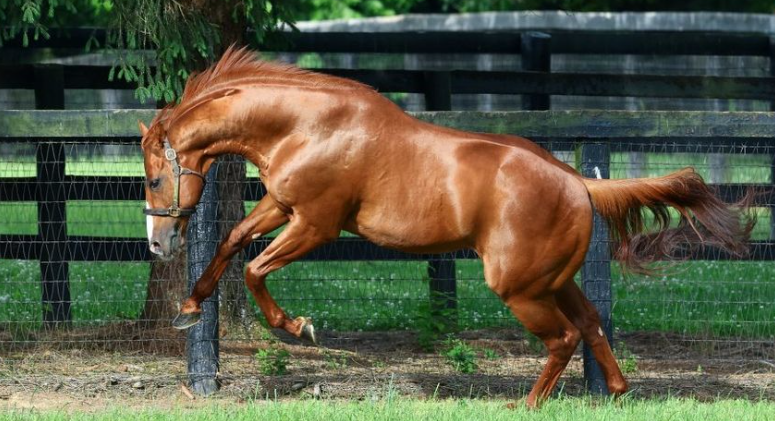 A Timeline of Major Moments in Racing History