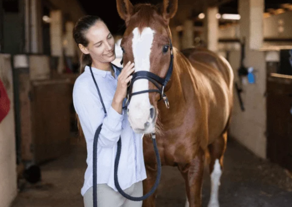 cplemaire || cplemaire couplé du jour || cplemaire la voyeuse || cplemaire 18 || cplemaire pmu || cplemaire turf